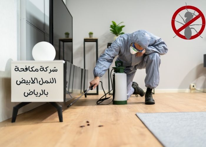 شركة مكافحة النمل الابيض بالرياض